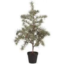 ib laursen Zedernbaum künstlich m/Plastiktopf H: 60, Ø: 28