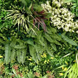 Primaflor Kunstpflanzen Wand Jade C 100 x 100 cm