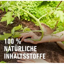 Compo Bio Tomaten- und Gemüseerde torffrei 20 l