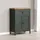 trendteam Stanton 77 x 102 x 39 cm Tannengrün/Evoke Eiche