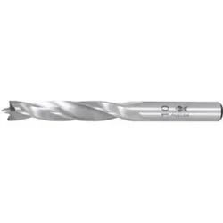 Fisch Holzspiralbohrer 12 mm