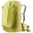 l sprout/linden
