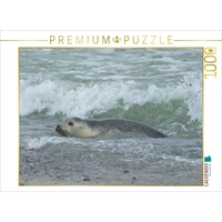 Calvendo Puzzle Robbe im Meer 1000 Teile Lege-Größe 64