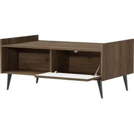WFL GROUP Arysa Beige Walnuss 100 x 45 x 60 cm