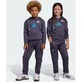 adidas Minecraft Trainingsanzug Jogginghose Grau 116