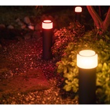 Philips Hue White and Color Ambiance Calla Erweiterung