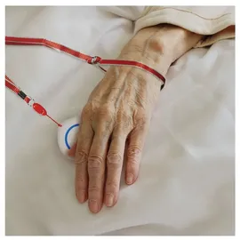 Logilink Smart Home Wi-Fi SOS Button