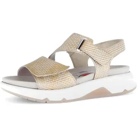 Gabor Damen, Low-Top Sneaker, Frauen Halbschuhe,schnürschuhe,schnürer,straßenschuhe,Strassenschuhe,Sportschuhe,Muschel,37.5 EU / 4.5 UK