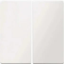 Berker Wippschalter Q.x