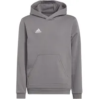 adidas Entrada 22 Sweatshirt Grau 116