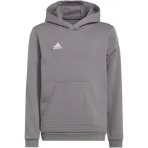 adidas Entrada 22 Sweatshirt Grau 116