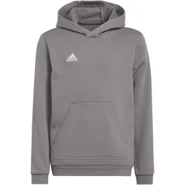 adidas Entrada 22 Sweatshirt Grau 116