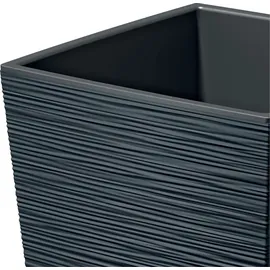 Prosperplast Furu Square 29,5 x 29,5 x 29 cm Anthrazit