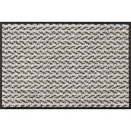 Wash+Dry Fußmatte Duo Latte, 40x60cm, innen und außen, waschbar, Beige