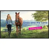 sharp display solutions Sharp PN-HS431 43" schwarz