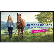 sharp display solutions Sharp PN-HS431 43" schwarz