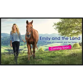 sharp display solutions Sharp PN-HS431 43" schwarz