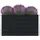 vidaXL Hochbeet 100 x 100 x 45 cm Anthrazit