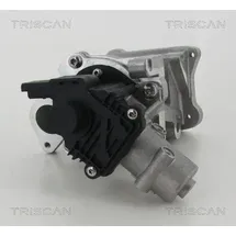 TRISCAN AGR-Ventil 8813 10007