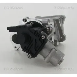 TRISCAN AGR-Ventil 8813 10007