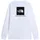The North Face Evolution Box Nse Langarm-t-shirt - TNF White - XL