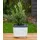 Gusta Garden Herbs Buddy 15,3 x 14,8 x 16,5 cm Weiß
