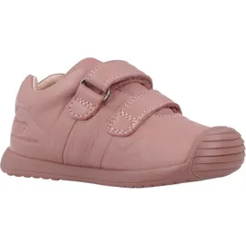 Biomecanics 241124b Rosa rosa 21