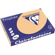 Clairefontaine Kopierpapier Trophee A3 80g aprikose