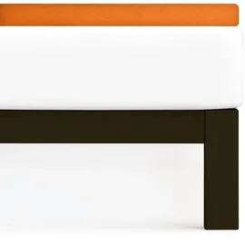 Traumschlaf Spannbettlaken Baumwolle-Polyester Frottee 120 x 200 - 130 x 200 cm orange