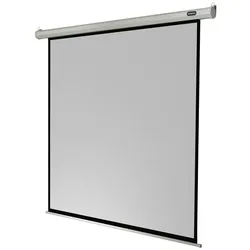 celexon Leinwand Motor Economy 120 x 120 cm