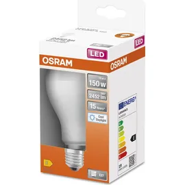 DeLock LED-Birne 150W E27 6500 K 1 St.