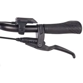 CHRISSON E-Cassiopea 28 Zoll RH 50 cm Damen weiß matt