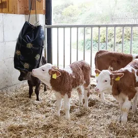 Kerbl HayBag - Heusack, bis 8kg, Heunetz Heuraufe Beschäftigungssack