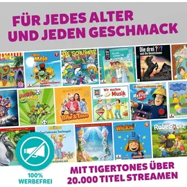 Tiger Media Tigerbox Touch Plus grau