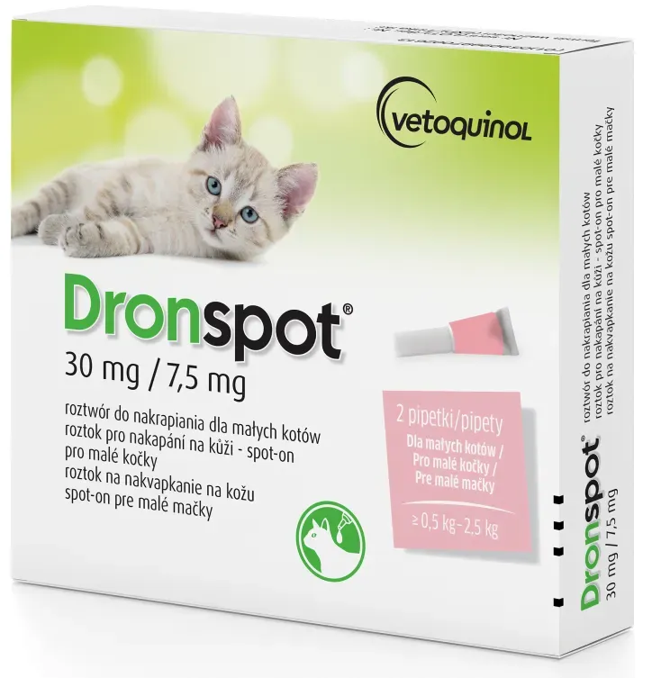 dronspot