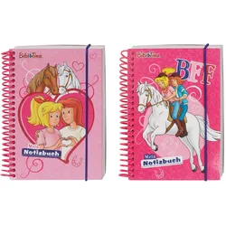 Bibi & Tina: Notizbuch