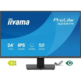 Iiyama ProLite X2491H-B1 24"