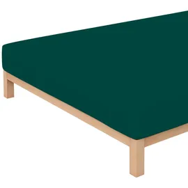schlafgut Pure Baumwolle 140 x 200 - 160 x 220 cm green deep