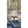 AMBIA GARDEN Solarleuchte Kunststoff D/H ca. 6,10x8,80 10er Set grau