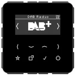 Jung DABCDSW Smart Radio DAB+, Serie CD, schwarz