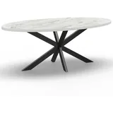 BIG Möbel GmbH Gastro Esstisch 200x100 cm Oval | Marmor Weiß | Spider-Gestell