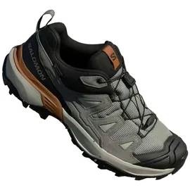 Salomon Herren X Ultra 360 LTR GTX Schuhe (Größe 43 , grau)