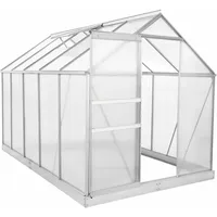 Zelsius - Aluminium Gewächshaus Set, 310 X 190 Cm, Inkl. Fundament