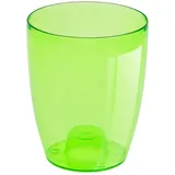 Prosperplast Coubi 13,2 x 13,2 x 16 cm Transparent