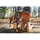 Ruffwear Summit Trex Schuh 83 mm Gelb