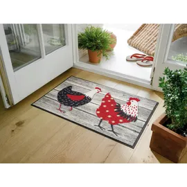 Wash+Dry Fußmatte Chicken Farm bunt, innen und außen, waschbar