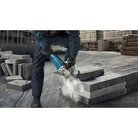 Bosch GWS 24-230 P Professional
