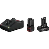 Bosch Professional Starterset 12 V Li-Ion 2 x 2,0/4,0 Ah 1600A01NC9