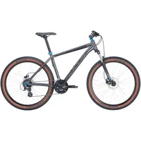 BULL'S Bulls Wildtail 2 29'' silber 2024, 29" -