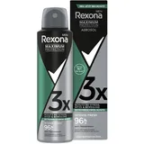 Rexona Men Maximum Protection Deospray Intense Fresh Antitranspirant mit 96 Stunden Schutz vor Schweiß und Körpergeruch 150 ml